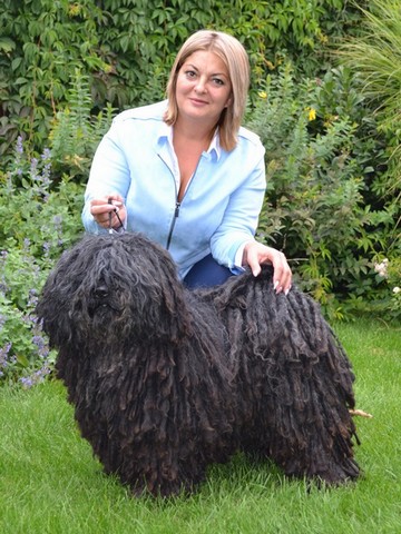 borzos puli pestimrei kennel